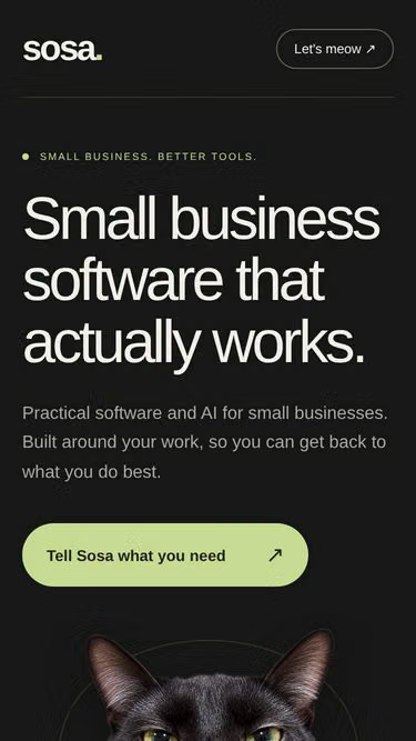 Screenshot of sosa.llc