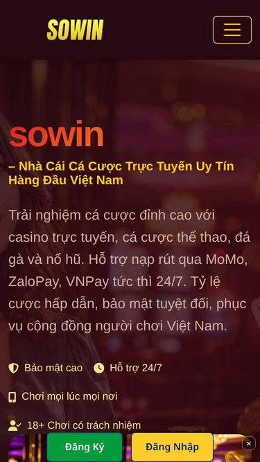 Screenshot of sowin.lat