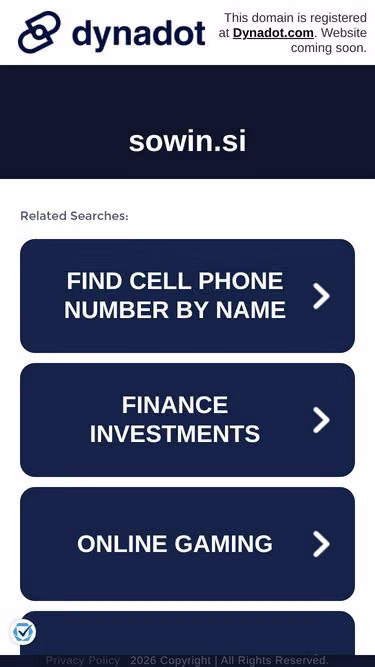 Screenshot of sowin.si