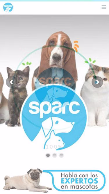 Screenshot of sparc.com.mx