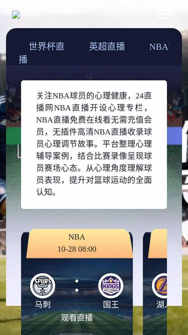 Screenshot of spdy.org.cn