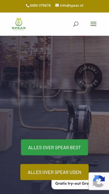 Screenshot of spear.nl