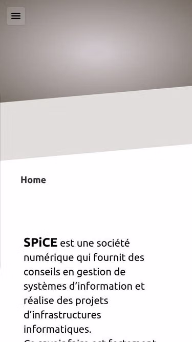 Screenshot of spice.consulting