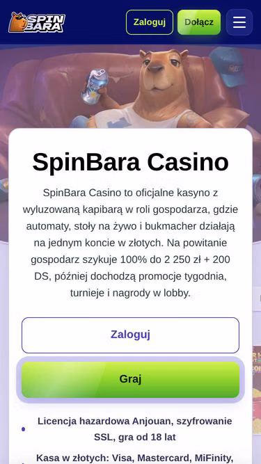 Screenshot of spinbara.waw.pl