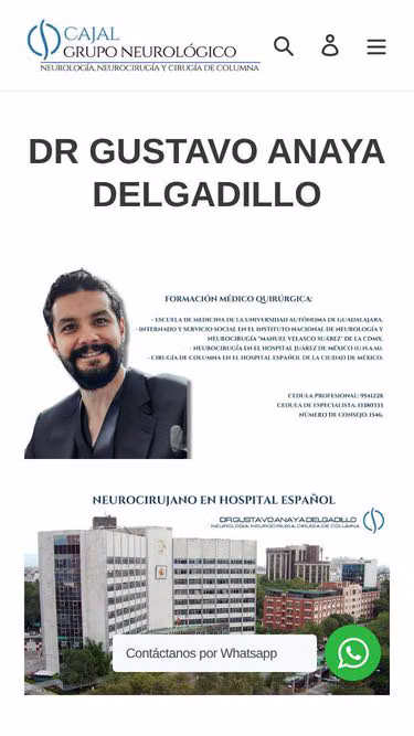 Screenshot of spine.com.mx