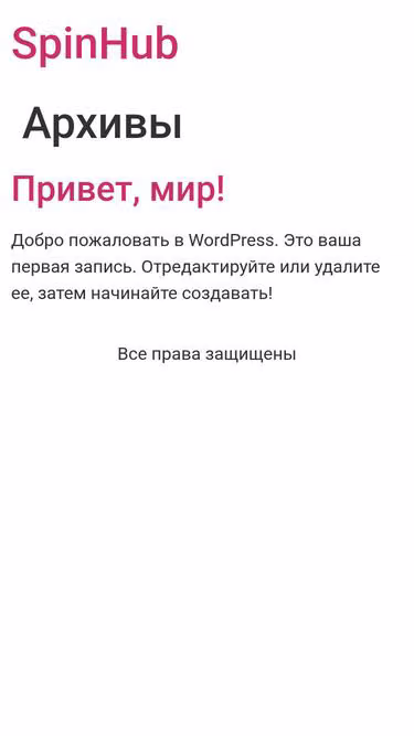 Screenshot of spinhub.ru