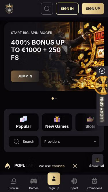 Screenshot of spinkong.bet
