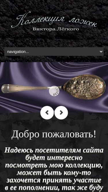Screenshot of spoons.ru
