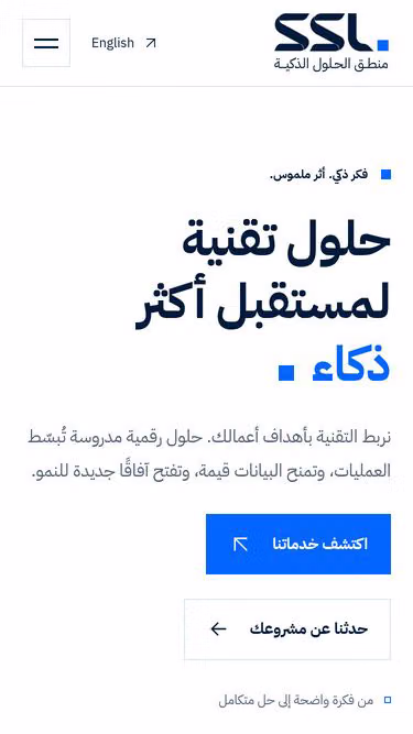Screenshot of ssl.sa