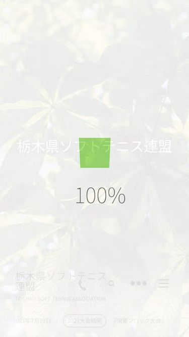 Screenshot of sta.tochigi.jp