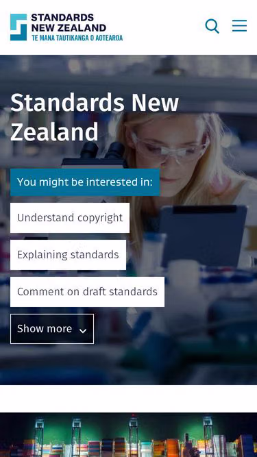 Screenshot of standards.co.nz