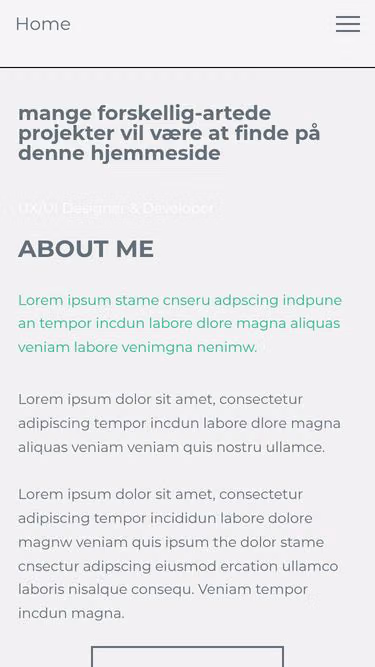 Screenshot of starck.dk
