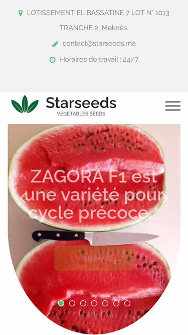 Screenshot of starseeds.ma