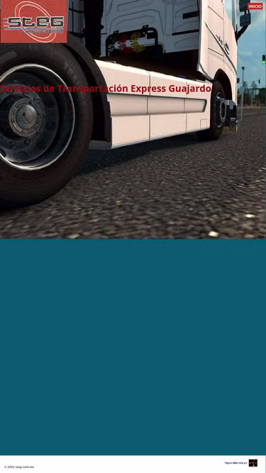 Screenshot of steg.com.mx