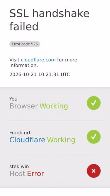 Screenshot of stek.win