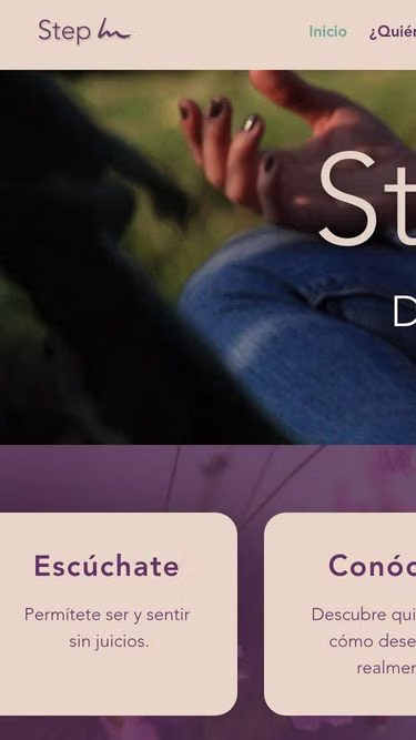 Screenshot of stepin.com.mx