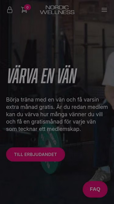 Screenshot of stepin.se