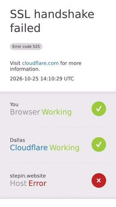 Screenshot of stepin.website