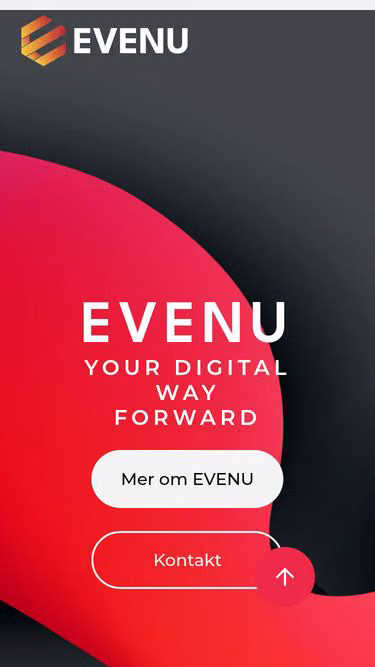 Screenshot of stereo.se