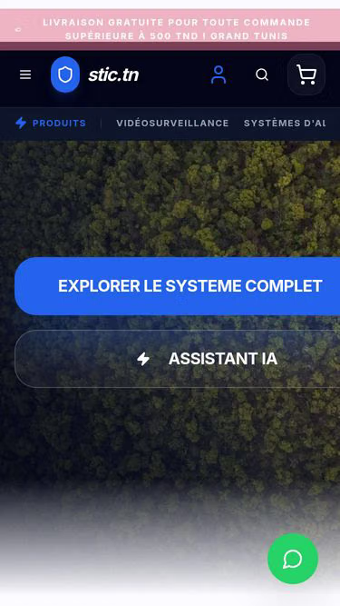Screenshot of stic.tn