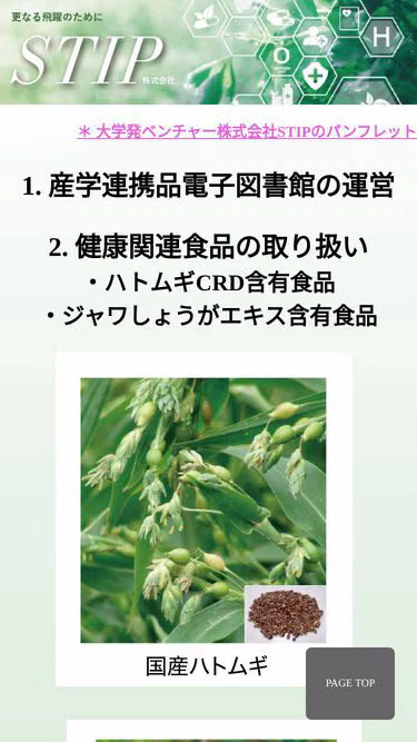 Screenshot of stip.jp