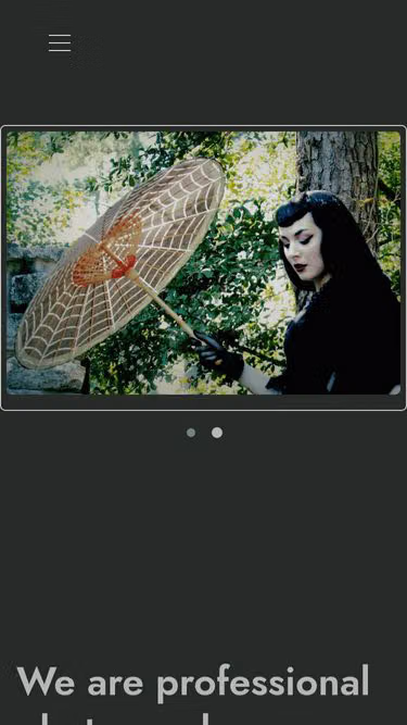 Screenshot of stonefield.photography