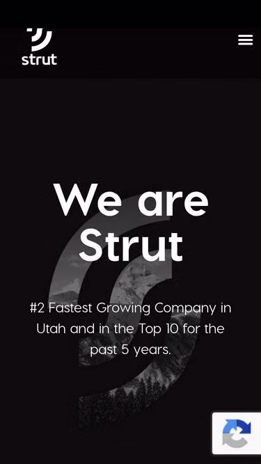 Screenshot of strut.company