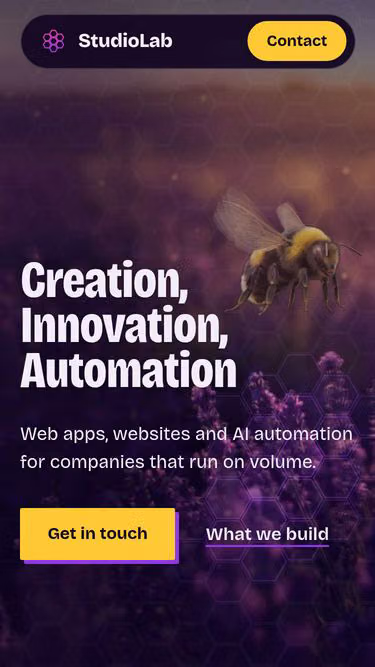 Screenshot of studiolab.online
