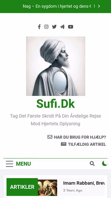Screenshot of sufi.dk