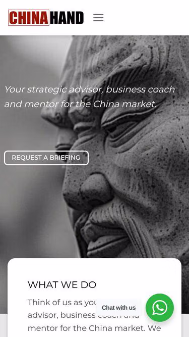 Screenshot of suntzu.consulting