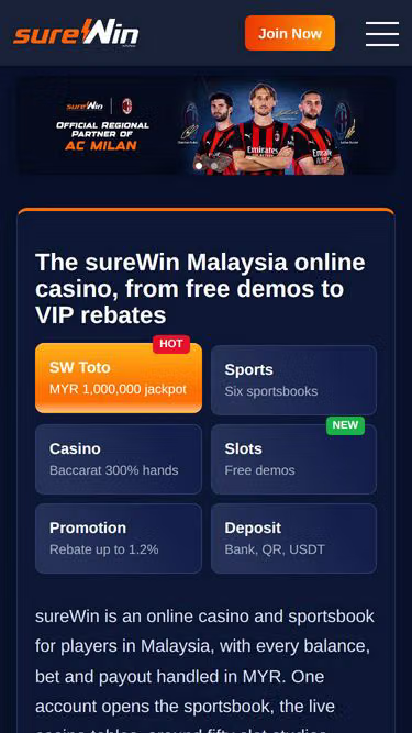 Screenshot of surewin.gg