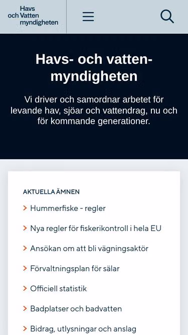 Screenshot of swam.nu