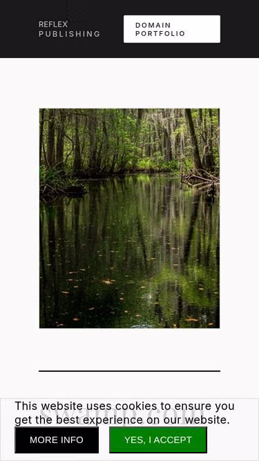 Screenshot of swamp.com