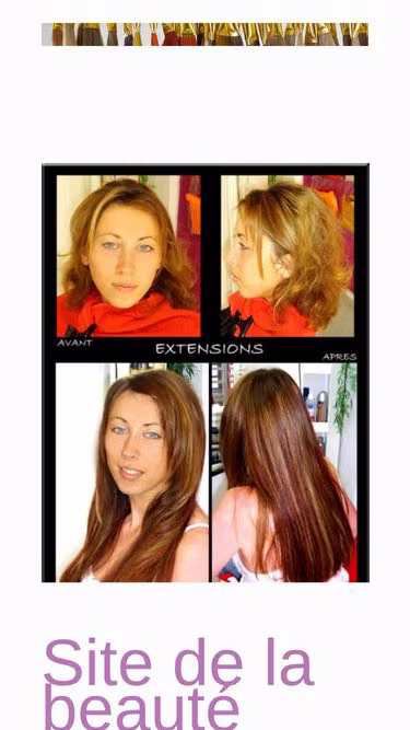 Screenshot of swig.fr