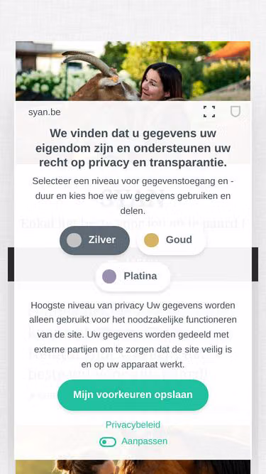 Screenshot of syan.be