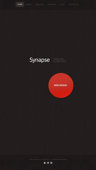 Screenshot of synapse.co.za