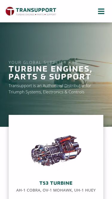 Screenshot of t55.biz
