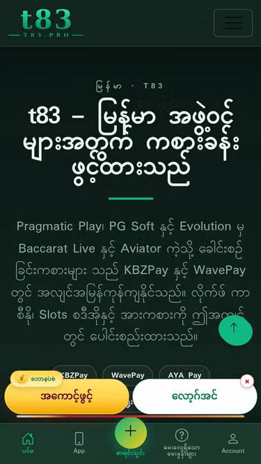 Screenshot of t83.pro