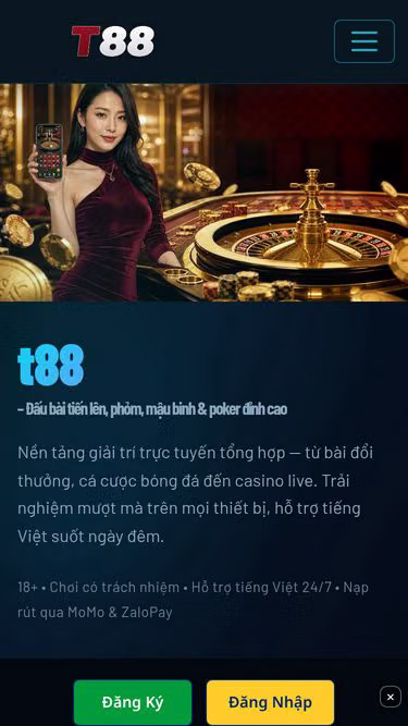 Screenshot of t88.cam