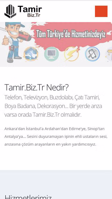 Screenshot of tamir.biz.tr