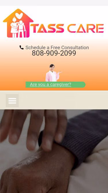 Screenshot of tass.care