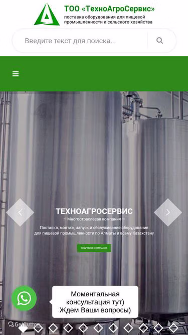 Screenshot of tass.kz