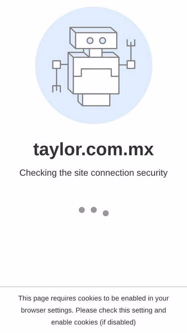 Screenshot of taylor.com.mx