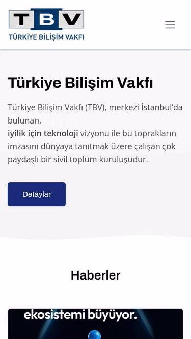 Screenshot of tbv.org.tr
