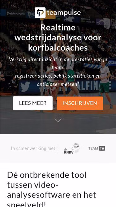 Screenshot of teampulse.nl