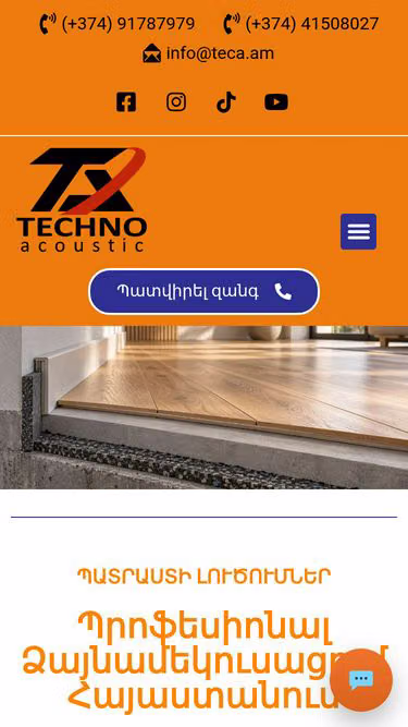 Screenshot of teca.am