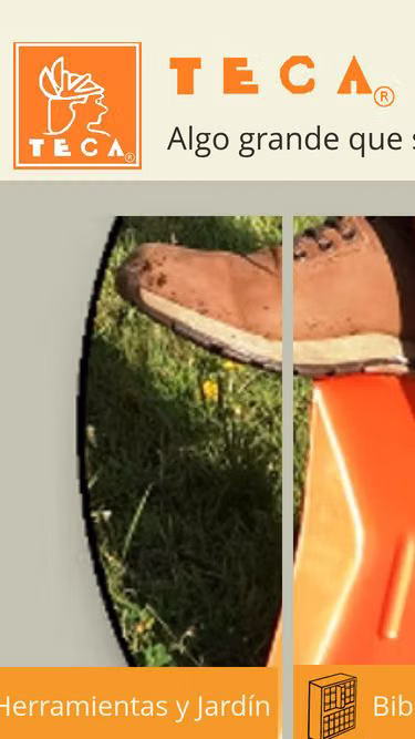 Screenshot of teca.com.mx