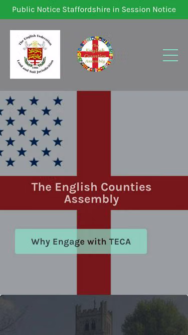 Screenshot of teca.live