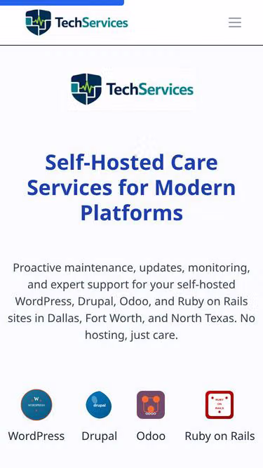 Screenshot of techservices.store