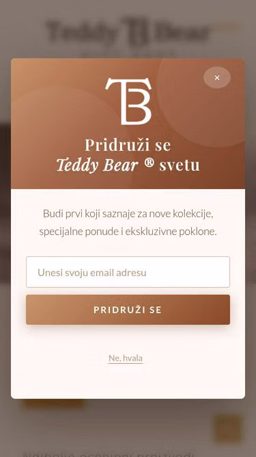 Screenshot of teddybear.rs